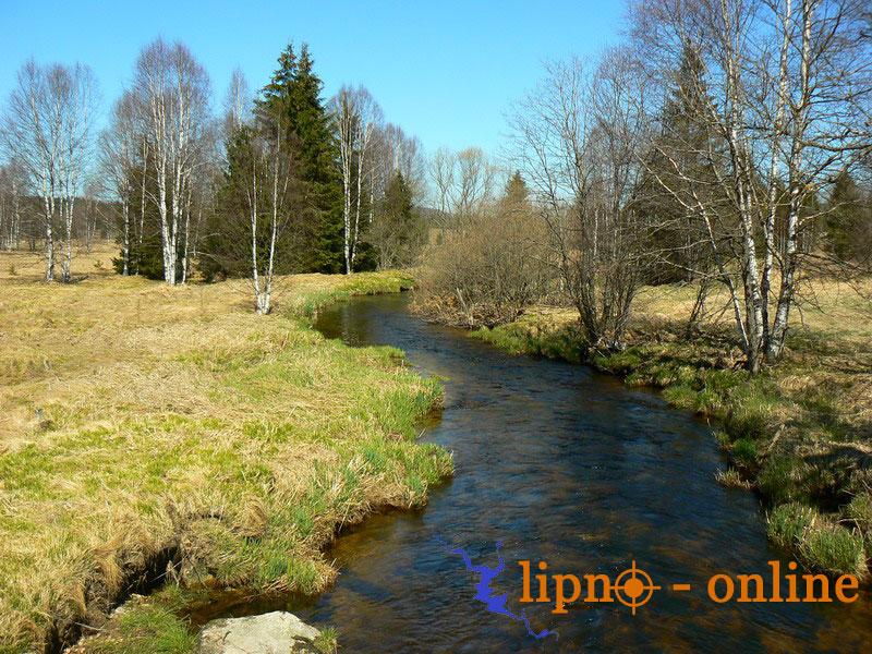 Studen vltava na Novm dol