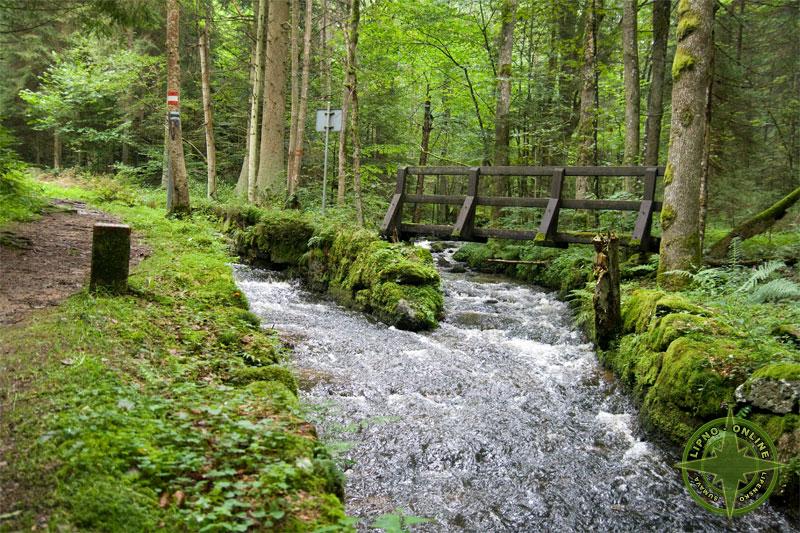Soutok Rychnovskho potoka s potokem Svtl nedaleko osady Morau